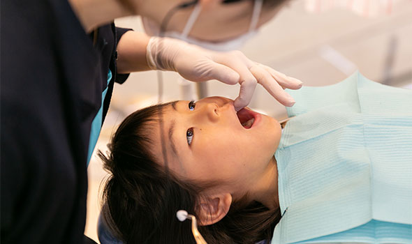 矯正歯科・審美歯科・小児歯科