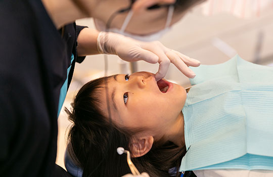 矯正歯科・審美歯科・小児歯科